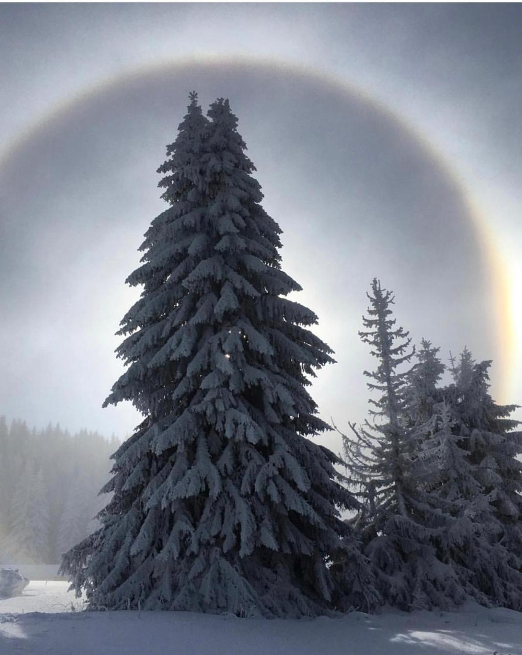 Silver Mountain Milmari Kopaonik Eksteriør bilde